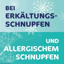 Plus Nasenspray, 10 ml^Rhinospray Sale