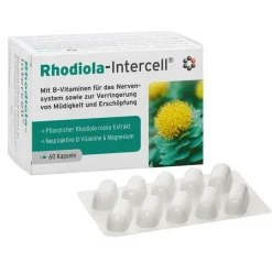 Rhodiola Kapseln, 60 St^Intercell Hot