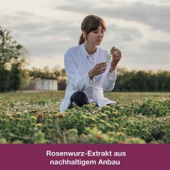 rhodioLoges® 200 mg Filmtabletten, 20 St^Dr. Loges Clearance