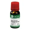 Rhus toxicodendron LM 12 Dilution, 10 ml^Arcana Sale