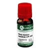 Rhus toxicodendron LM 30 Dilution, 10 ml^Arcana Best