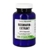 Hecht Pharma Verdauung-Rosmarinextrakt GPH Kapseln, 180 St