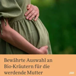 Schwangerschaftstee Bio Filterbeutel, 15 St^Salus Best