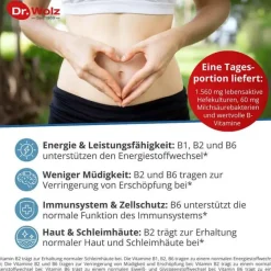 Dr. Wolz Bakterienkulturen-Sanuzella D Zellulose Kapsel, 60 St