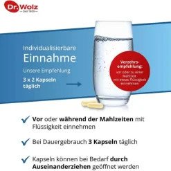 Dr. Wolz Bakterienkulturen-Sanuzella D Zellulose Kapsel, 60 St