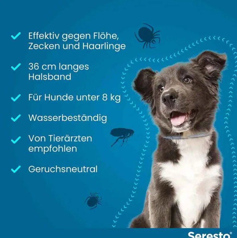 ® Halsband für kleine Hunde bis 8 kg, 1 St^Seresto Hot