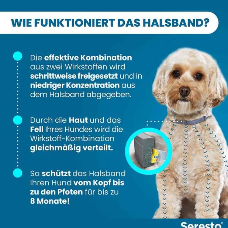 ® Halsband für kleine Hunde bis 8 kg, 1 St^Seresto Hot