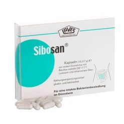 Kapseln, 60 St^Sibosan Best