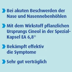 Sinoplan SINOLPAN® FORTE 200 mg Weichkapseln, 21 St- Schnupfen & Nasennebenhöhlen