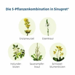 Sinupret Schnupfen & Nasennebenhöhlen-® überzogene Tabletten, 200 St