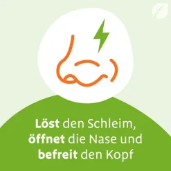 Sinupret Saft, 100 ml- Schnupfen & Nasennebenhöhlen