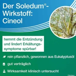Soledum Schnupfen & Nasennebenhöhlen|Hustenlöser-Kapseln forte, 2x100 St