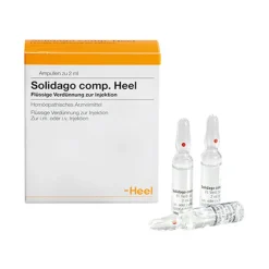 Solidago comp. Ampullen, 100 St^Heel New