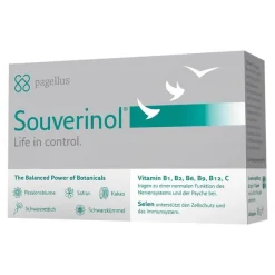 Pagellus Hirnleistung & Nerven-Souverinol Innere Ruhe pflanzliche Balance Kapseln, 60 St