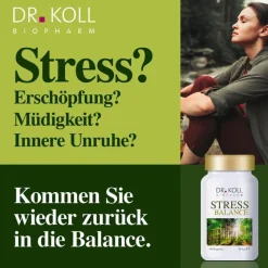 Dr. Koll Hirnleistung & Nerven-Stress Balance Vitamin B6 + B12 + Magnesium, 60 St