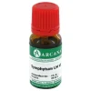 Arcana Symphytum LM 6 Dilution, 10 ml- S