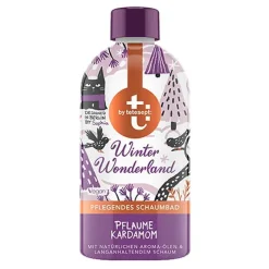 T BY Schaumbad Winter Wonderland, 420 ml^Tetesept Clearance