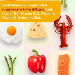 Immun & Energie Trinkampullen, 7X10 ml^Taxofit