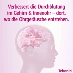 ® intens 120 mg Filmtabletten, 120 St^Tebonin Best