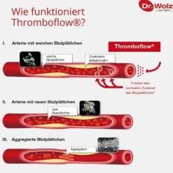 Dr. Wolz Thromboflow Kapseln , 60 St- Durchblutung