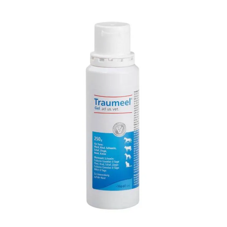Traumeel Biologische Heilmittel Heel Gmbh-Gel vet. (für Tiere), 1X250 g