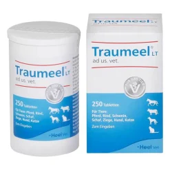 Traumeel LT ad us.vet.Tabletten, 250 St- Rinder|Pferde