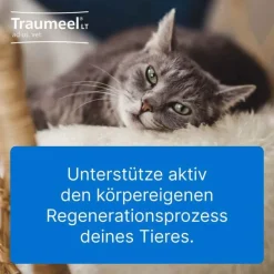 Traumeel LT ad us.vet.Tabletten, 500 St- Pferde|Biologische Heilmittel Heel Gmbh