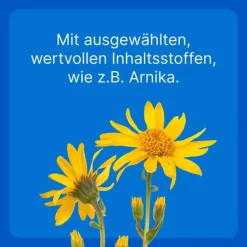 Traumeel LT ad us.vet.Tabletten, 500 St- Pferde|Biologische Heilmittel Heel Gmbh