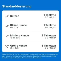 Traumeel LT ad us.vet.Tabletten, 500 St- Pferde|Biologische Heilmittel Heel Gmbh
