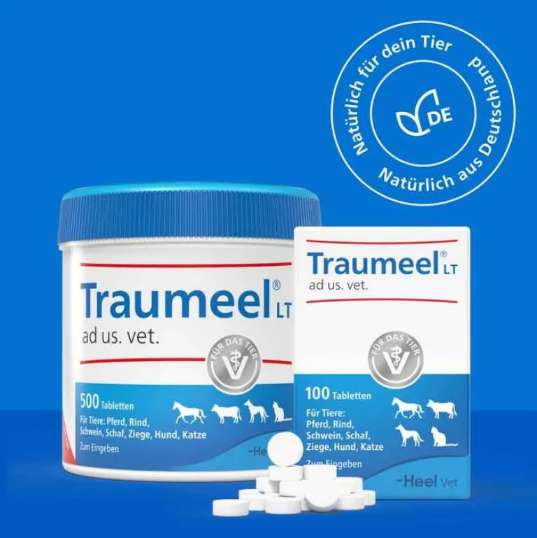 Traumeel LT ad us.vet.Tabletten, 500 St- Pferde|Biologische Heilmittel Heel Gmbh