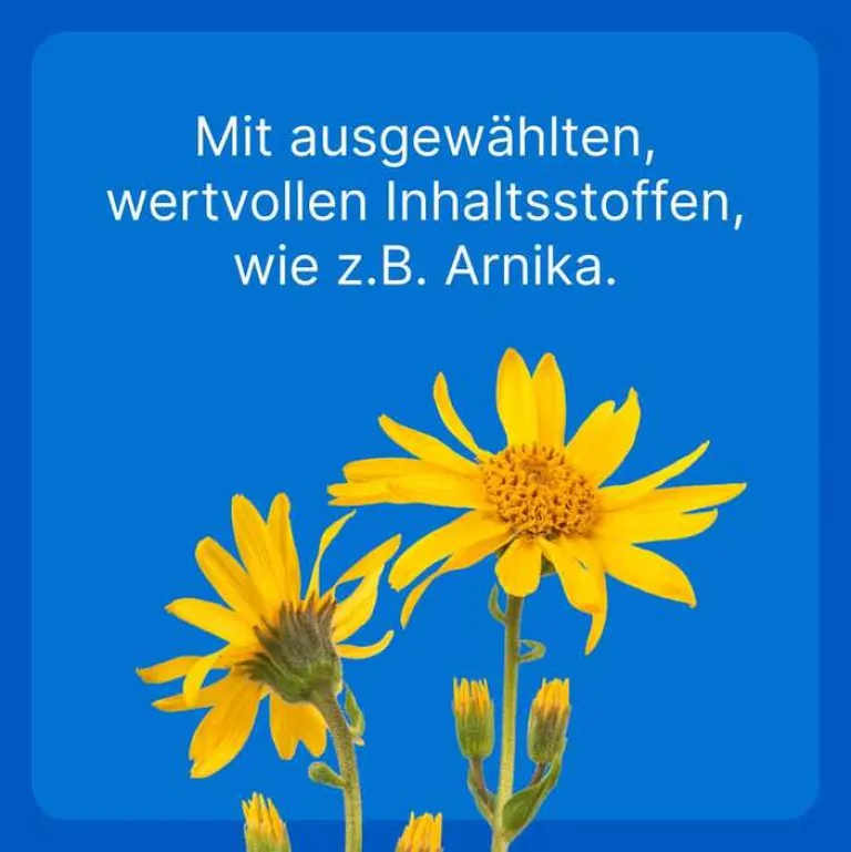 T ad us. vet. Tabletten für Hund und Katze, 500 St^Traumeel Best