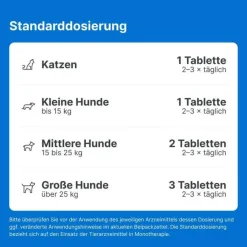 T ad us. vet. Tabletten für Hund und Katze, 500 St^Traumeel Best