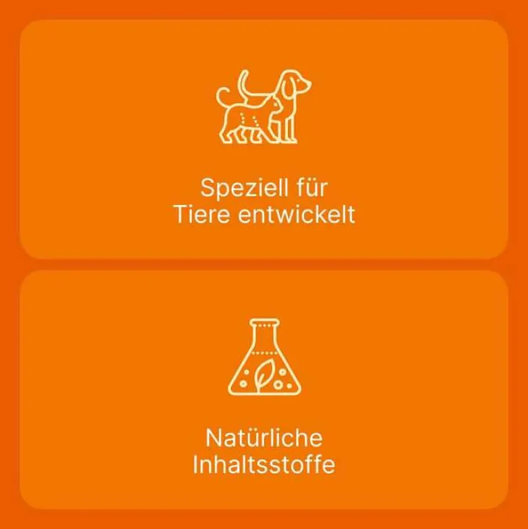 Heel Ubichinon compositum ad us. vet. Ampullen, 10 St- Biologische Heilmittel Heel Gmbh