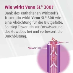 Hylo Eye Care Veno SL 300 Hartkapseln, 100 St- Venenleiden
