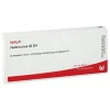 Ventriculus GL D 4 Ampullen, 10X1 ml- S