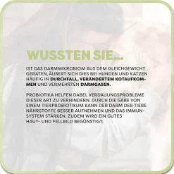 Vetvisan Tierprobiotikum Pulver für Hunde / Katzen, 100 g- Magen & Darm|Magen & Darm