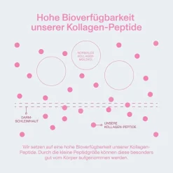 Vital Proteins Kollagen-Beauty Collagen Erdbeere Zitrone, 271 g