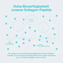 Marine Collagen Pulver, 224 g^Vital Proteins Best