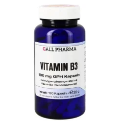 Hecht Pharma Vitamin B3 100 mg GPH Kapseln, 120 St- Vitamin B3 (Niacin)