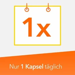 Ratiopharm Vitamin B-Komplex Kapseln, 60 St- Vitamin B Komplex
