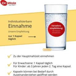 Dr. Wolz Vitamin D3 4000 I.E. plus Kapseln, 60 St- Vitamin D (Colecalciferol)
