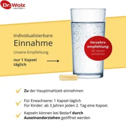 Dr. Wolz Vitamin D (Colecalciferol)-Vitamin D2 1000 I.E. vegan Kapseln, 60 St