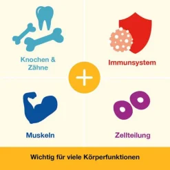 Dr. Loges Vitamin D-Loges 7.000 I.E. pflanzlich Wochendepot, 30 St- Vitamin D (Colecalciferol)