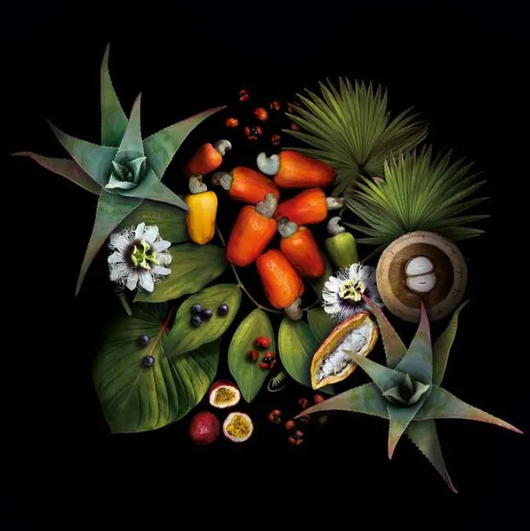 Santaverde Augenpflege-Xingu age perfect eye serum, 10 ml