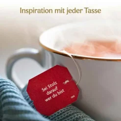 Yogi Tea Yogi Tee|Kräutertee-Natürliche Abwehr Filterbeutel, 17X1.8 g