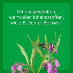 Zeel ® LT ad us. vet. Tabletten, 100 St- Biologische Heilmittel Heel Gmbh