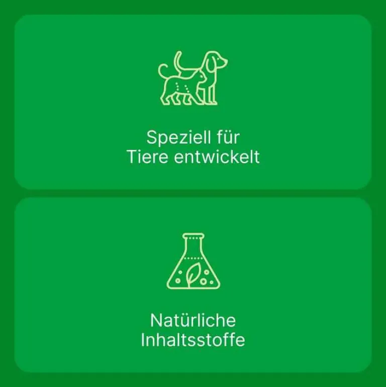 Zeel ® LT ad us. vet. Tabletten, 100 St- Biologische Heilmittel Heel Gmbh