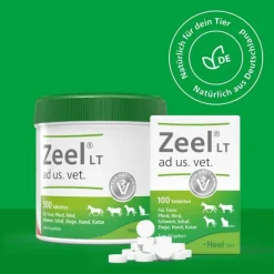 Zeel ® LT ad us. vet. Tabletten, 100 St- Biologische Heilmittel Heel Gmbh