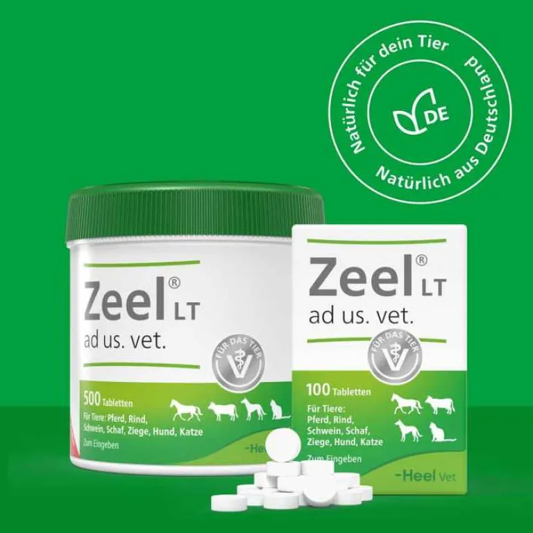 Zeel ® LT ad us. vet. Tabletten, 100 St- Biologische Heilmittel Heel Gmbh