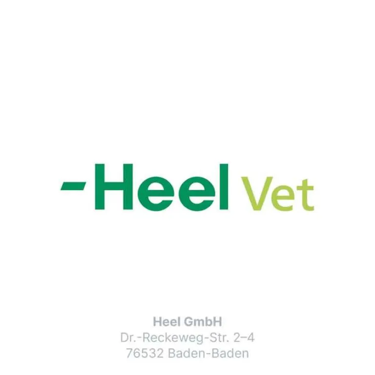 Zeel ® LT ad us. vet. Tabletten, 100 St- Biologische Heilmittel Heel Gmbh